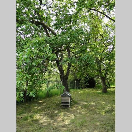 Miller'S Farm. Cottage On The Auhtie For 2 Hem-Hardinval Dış mekan fotoğraf