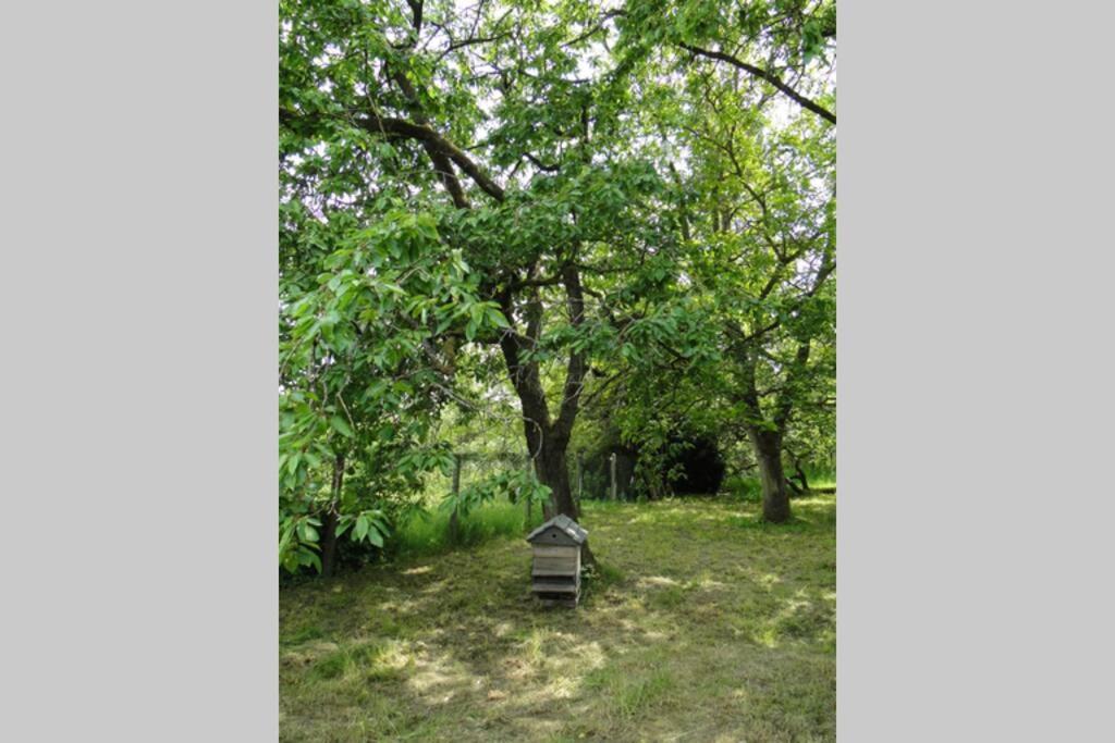 Miller'S Farm. Cottage On The Auhtie For 2 Hem-Hardinval Dış mekan fotoğraf